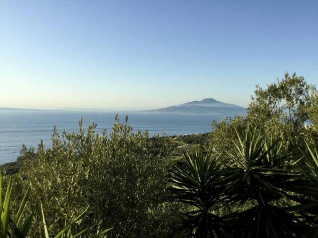 Un Paradiso A Sorrento Con Piscina Massa Lubrense Exteriér fotografie
