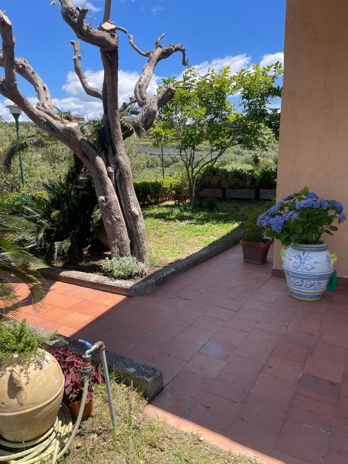 Un Paradiso A Sorrento Con Piscina Massa Lubrense Exteriér fotografie
