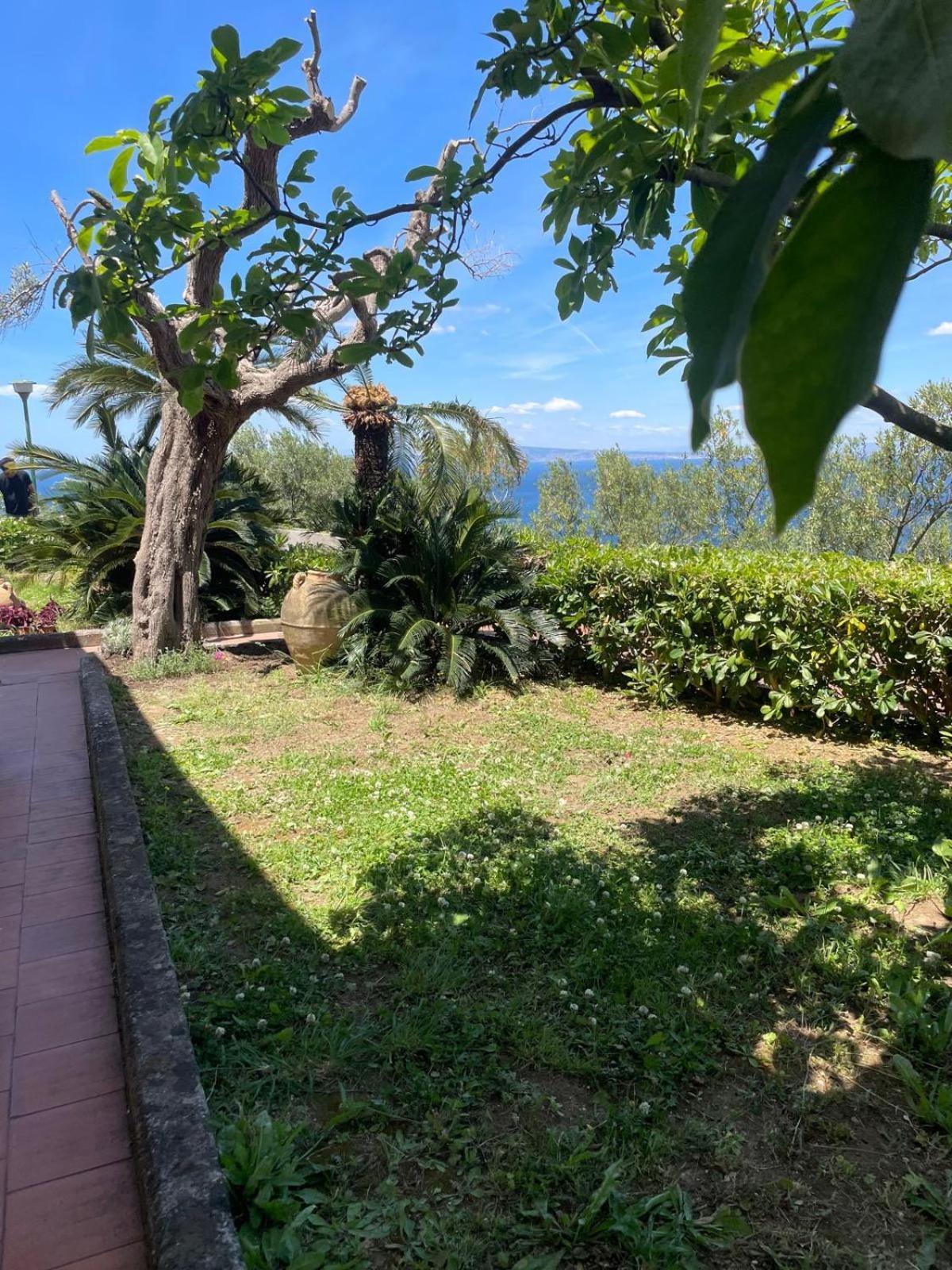 Un Paradiso A Sorrento Con Piscina Massa Lubrense Exteriér fotografie