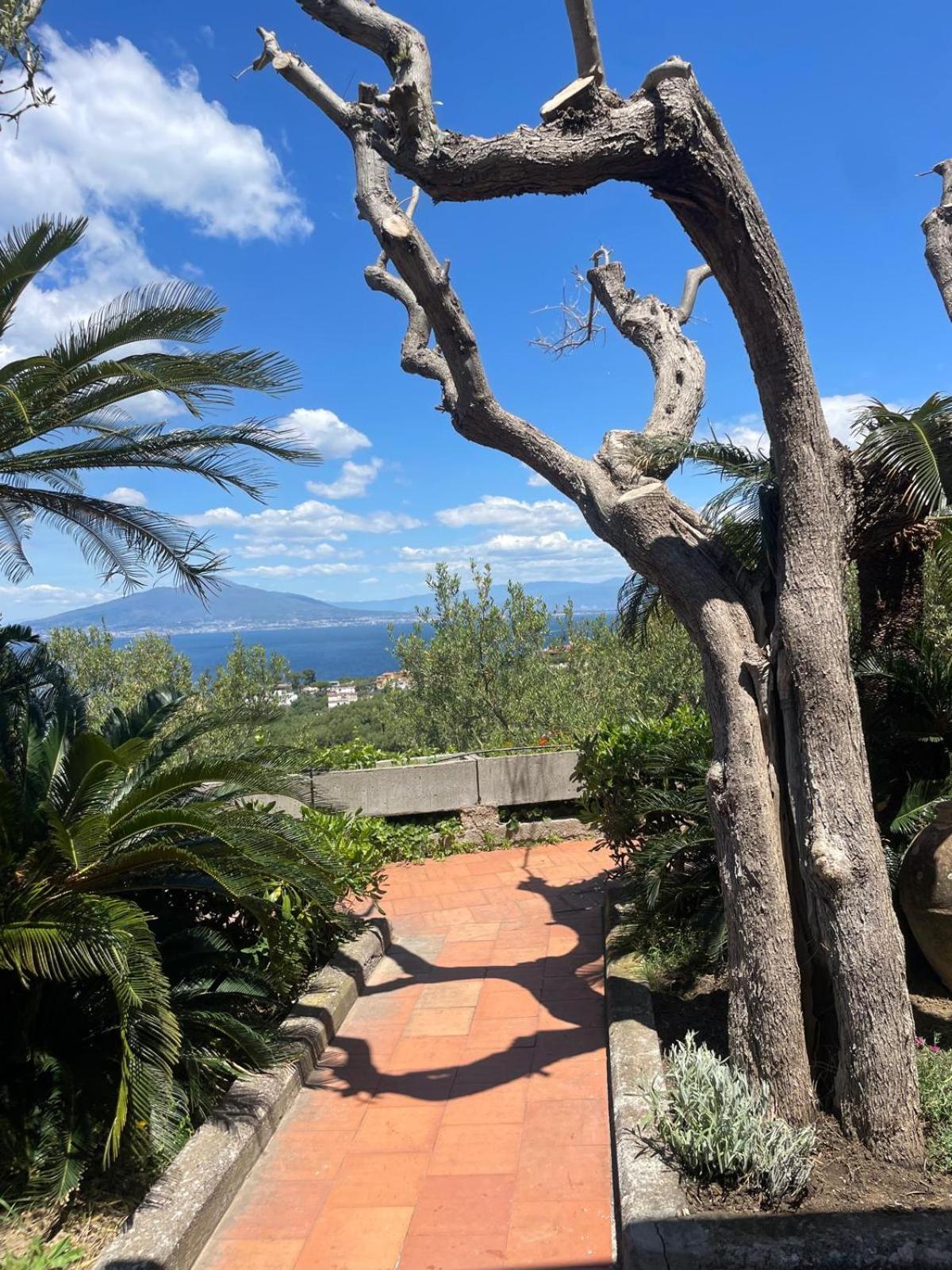Un Paradiso A Sorrento Con Piscina Massa Lubrense Exteriér fotografie